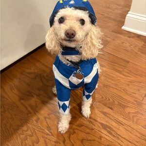 Power Ranger Dog Costume